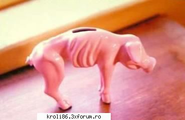 Poze - DEPOZIT DE CASH - Poze (Fara XXX)